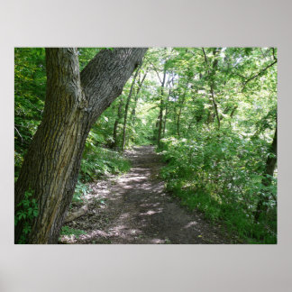 Affiche Une promenade dans les bois
