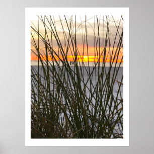 Affiche Une promenade sur la plage
