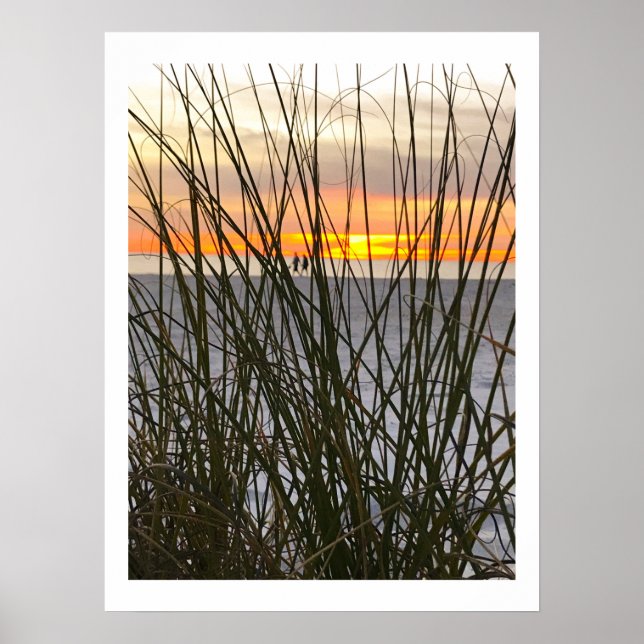 Affiche Une promenade sur la plage (Devant)