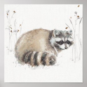 Affiche Une promenade X de région boisée