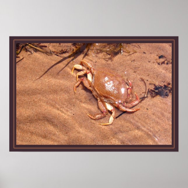 Affiche Une Rive Crustale (Devant)