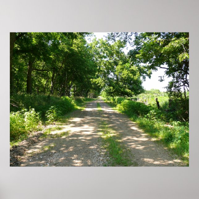 Affiche Une route moins parcourue (Devant)