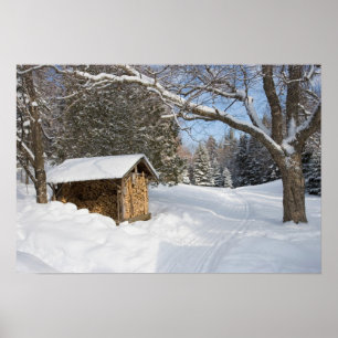 Affiche Une scène neigeuse au peu d'étang de Lyford d'AM