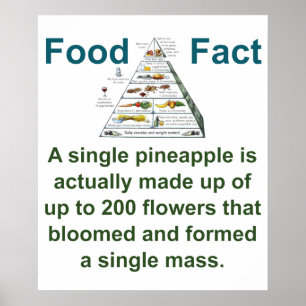 Affiche Une Seule Ananas Est En Fait Fabriquée - Food Fact