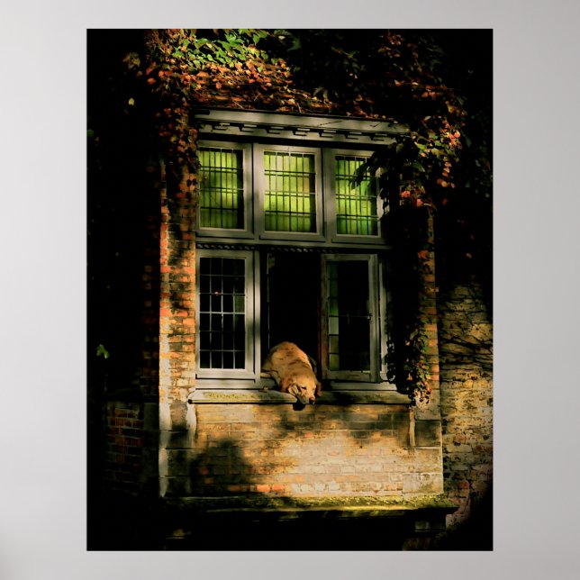 Affiche Une sieste au soleil II (Devant)