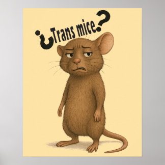 Affiche Une souris confondue par une déclaration muette