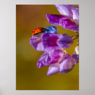 Affiche Une vie de bugs.