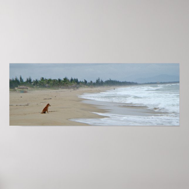 Affiche Une vie de chien (Devant)