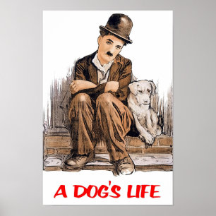 Affiche Une Vie de Chien Charlie Chaplin 1918 Film Classiq