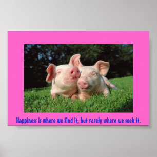 Affiche Une vie de porcs