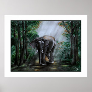 Affiche Une Voix Pour Le Sauvage