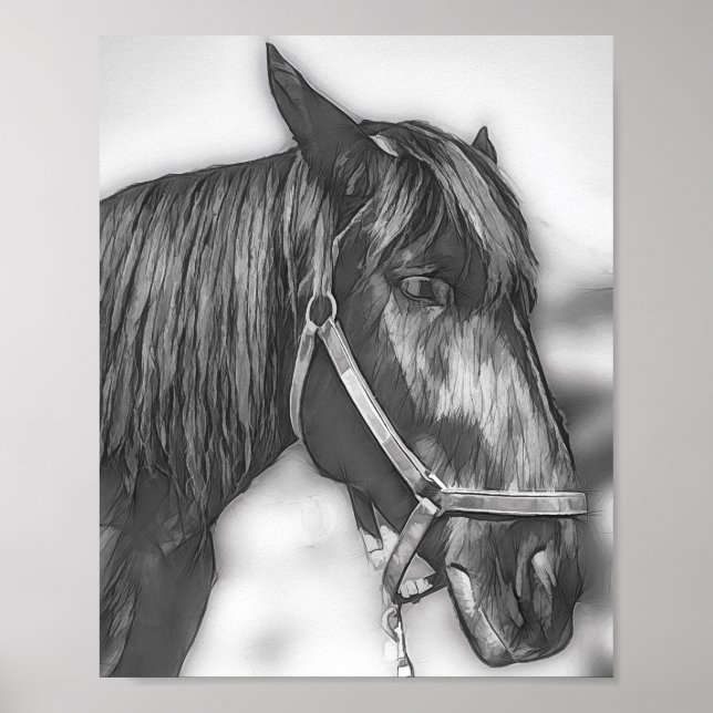 Affiche Une vraie beauté (Devant)