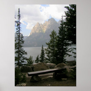 Affiche Une vue avec un banc