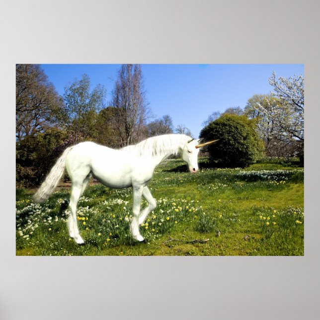 Affiche Unicorne (Devant)