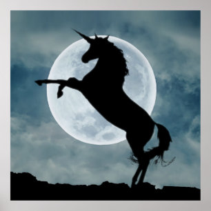 Affiche Unicorne Silhouette Pleine lune Ciel de nuit, ZKOA