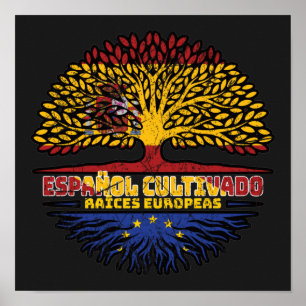 Affiche Union européenne Europe Espagne Espagne Espagne Ar