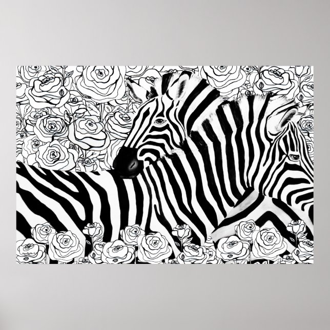 Affiche Unique Zebras (Devant)