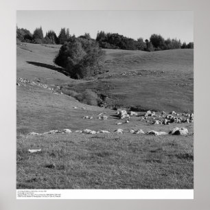 Affiche Université de Californie, Père Noël Cruz, 1963