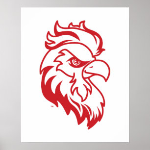 Affiche Université d'État de Jacksonville Gamecocks Red ga