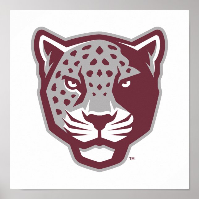 Affiche Université Texas A&M de San Antonio | Jaguars (Devant)