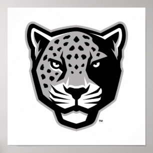 Affiche Université Texas A&M de San Antonio Jaguars