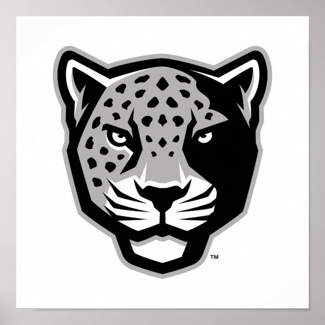 Affiche Université Texas A&M de San Antonio | Jaguars (Devant)