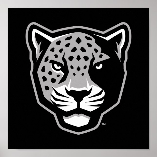 Affiche Université Texas A&M de San Antonio | Jaguars (Devant)