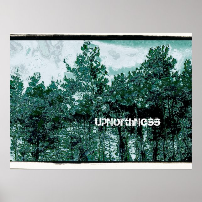 Affiche UpNorthNess (Devant)