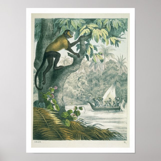 Affiche Upper reaches of the Amazon, from 'Le Livre des We (Devant)