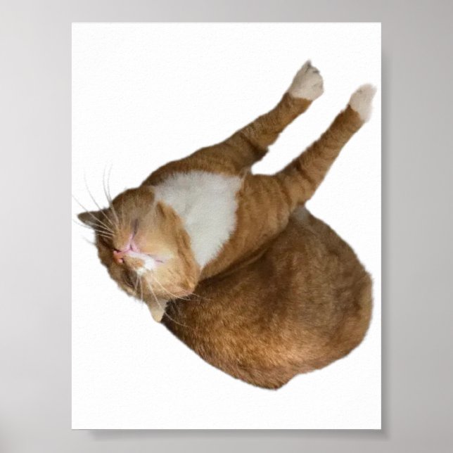 Affiche Upside-Down Sunshine (Devant)