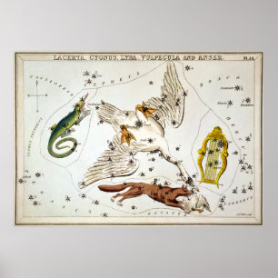 Affiche Urania's Mirror - Lacerta, Cygnus, Lyra, Vulpecula