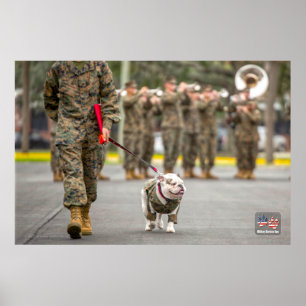 AFFICHE US MILITARY SERVICE DOG