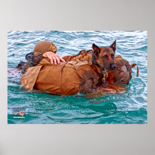 AFFICHE US MILITARY WORKING DOG