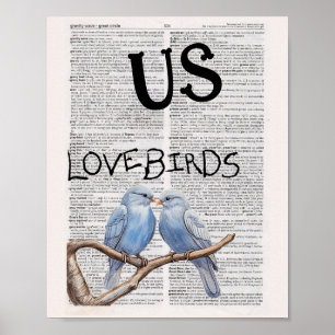 AFFICHE US — OISEAUX AMOUREUX