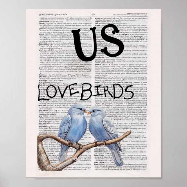 AFFICHE US — OISEAUX AMOUREUX (Devant)