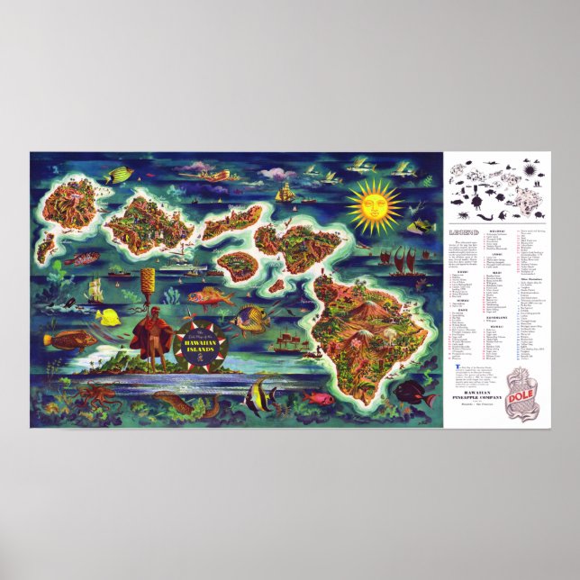 Affiche " USA : 1950/heute Hawaii - Dole Vintage Reise ... (Devant)