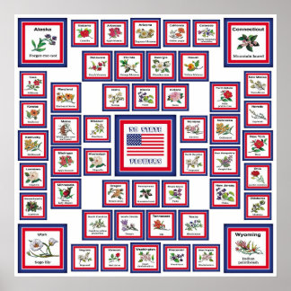 AFFICHE USA 50 FLEURS D'ÉTAT BLANC/559