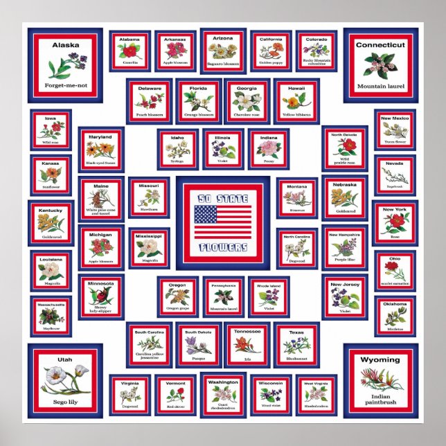 AFFICHE USA 50 FLEURS D'ÉTAT BLANC/559 (Devant)