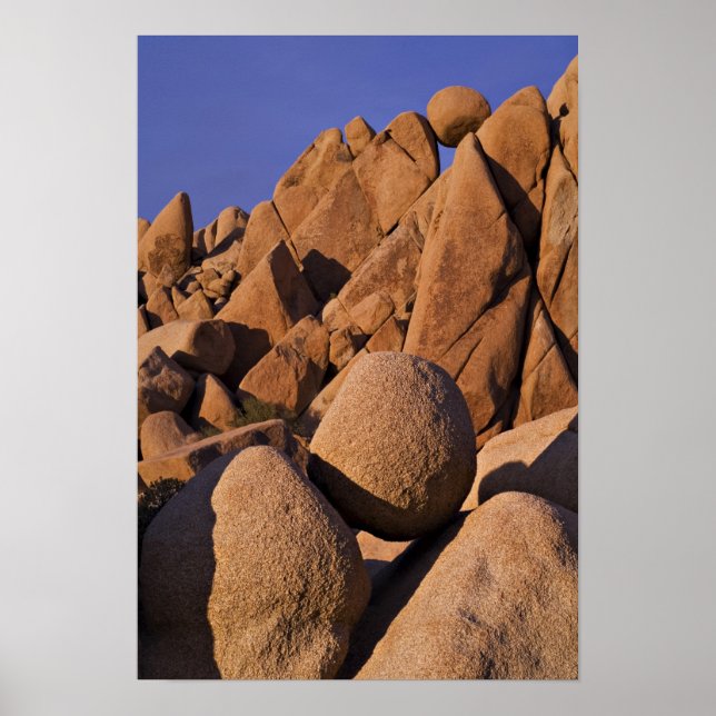 Affiche USA, Californie, Parc national de Joshua Tree. (Devant)