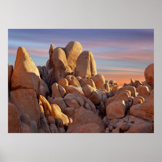 Affiche USA, Californie, Parc national de Joshua Tree (Devant)