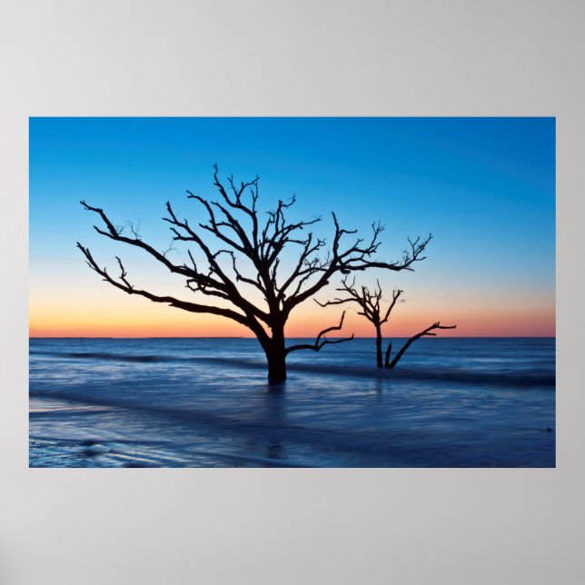 Affiche USA, Caroline du Sud, Edisto Island, Botany Bay (Devant)