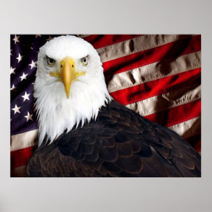 Affiche USA Eagle Patriotique