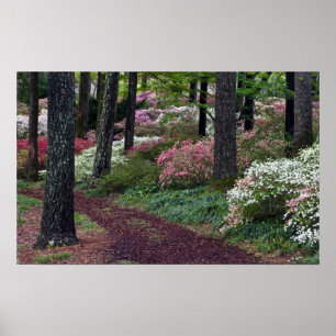 Affiche USA, Géorgie, Callaway Gardens. Voie