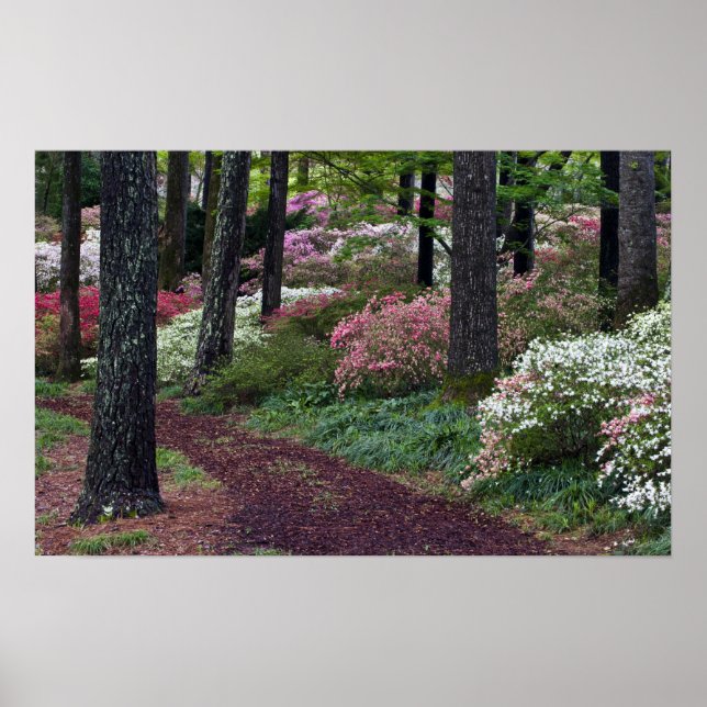 Affiche USA, Géorgie, Callaway Gardens. Voie (Devant)