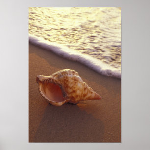 Affiche USA, Hawaii, Maui, Kihei, Lumière du soir sur