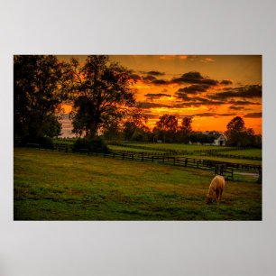 Affiche USA, Lexington, Kentucky. Lone horse at sunset 1