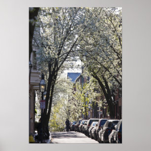 Affiche USA, Massachusetts, Boston, Beacon Hill.