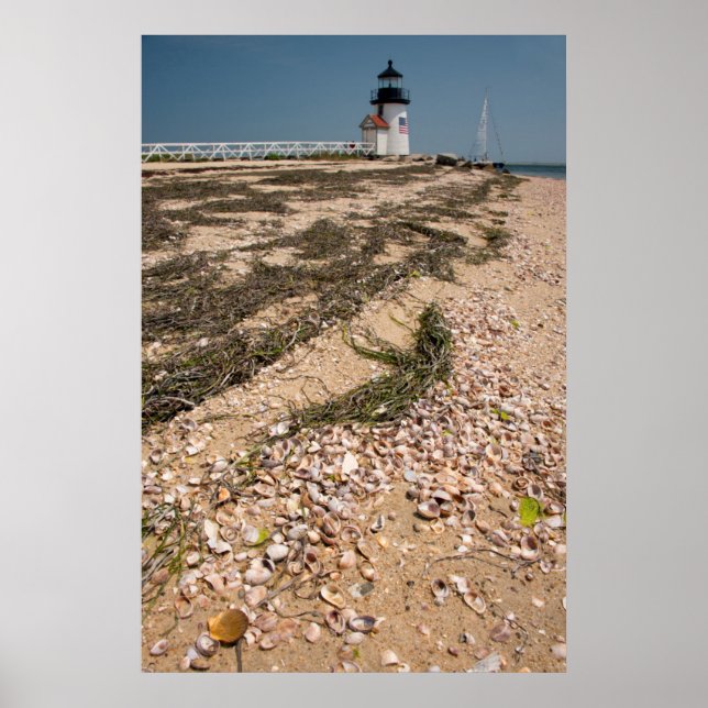 Affiche USA, Massachusetts, Nantucket. Coquille (Devant)