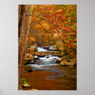 Affiche USA, Tennessee. Rushing Mountain Creek