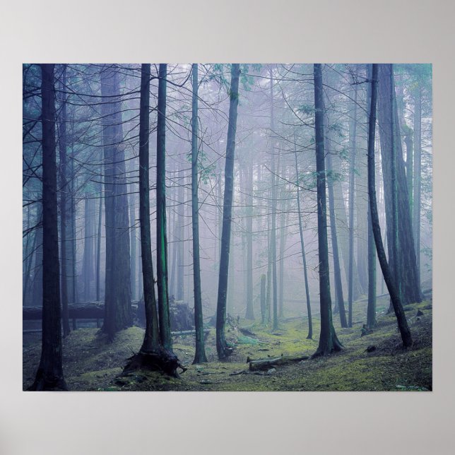 Affiche USA, Washington, Orcas Island, Moran State Park (Devant)